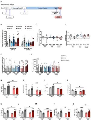 Antidepressant-Like Effects of Chronic Guanosine in the Olfactory Bulbectomy Mouse Model